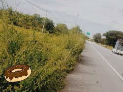 คุ้มค่าน่าลงทุนทรัพย์ในดิน เมืองบ้านตากจังหวัดตาก  3-1-40 ไร่ ติดถนนเอเซีย AH1 ติดถนนพหลโยธิน ไร่ 3ลบ. โทร 096-8821857