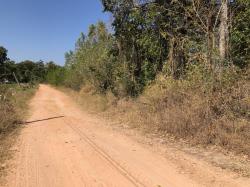   ขายที่ดิน บ้านหลักศิลา   12 ไร่ 1 งาน 50 ตารางวา  เป็นที่ไร่ติดถนนสาธารณะ  ชัยภูมิ 