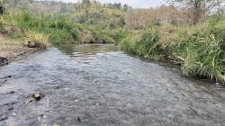 ขายที่ดิน  063 - 9352897  คุณเล็ก 4 ไร่ 90 ตารางวา เชียงใหม่ 