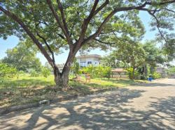 ขายที่ดิน หมู่บ้าน สวนเอก เลคปาร์ค ลําลูกกา ปทุมธานี