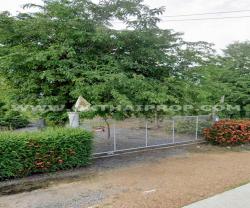 ขายที่ดิน ถ.ทล.ชนบทพิจิตร3016 ต.วังสำโรง อ.บางมูลนาก จ.พิจิตร