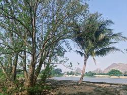 ขายที่ดิน ริมน้ำในเมืองโอกาสแบบนี้ไม่ได้มีบ่อย — แปลงใหญ่ วิวภูเขา ติดแม่น้ำแควน้อย 