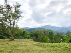 ขายที่ดิน  22 ไร่    อ.  แม่ออน  เชียงใหม่  ใกล้แหล่งท่องเที่ยว