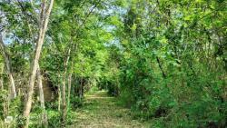 ขายที่ดินจังหวัดหนองคาย ขายที่ดินคุณภาพ 8-1-92 ไร่ พร้อมแนวคิดชีวิตยั่งยืนและอนาคตที่ออกแบบได้