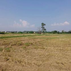 ขายที่ดินแปลงสวย ทำเลดี เขตบึง ศรีราชา ชลบุรี FP-L01888 