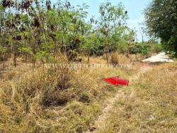 ขายที่ดินสวย ใกล้โรงพยาบาลพัฒนานิคม อ.พัฒนานิคม จ.ลพบุรี