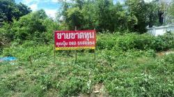 ที่ดินบางพลี ที่เปล่าสมุทรปราการ ที่ดินเปล่าจตุรโชคชัย3/6 ขายที่ปลูกบ้านสมุทรปราการ