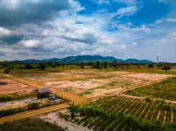 ขายที่ดินเปล่า 72 ตร.ว. ทำเลดีถมแล้ว ที่เปล่าพุทธมณฑลสาย 2 กรุงเทพ