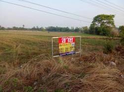 ขายที่ดินทำเลดี   ราคาถูก   12-0-0 ไร่ ตะกั่วป่า หนองสองห้อง ขอนแก่น   ZK626