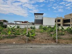 ขายที่ดินถมแล้วย่านเลียบด่วน 416 ตรว. (1 ไร่) นาคนิวาส 21 ทะลุ สังคมสงเคราห์ 28 ได้ ที่ดินหน้ากว้างสวย ถนนกว้าง ที่สวย ราคาดีน้ำไม่ท่วม 