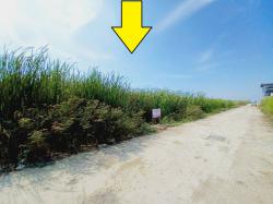 ขายที่ดินลำลูกกาคลอง4 ถนน ไสวประชาราษฏร์ 1 ไร่ ติดถนน 2 ด้าน เหมาะทำโกดัง ปลูกบ้าน  ทำเลดี ใกล้แหล่งชุมชน