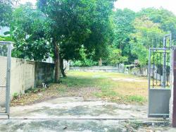 เหมาะทำโกดัง ลานจอดรถ  ม.สยาม 2.2 กม นักบุญเปโตร1.28กม. สาย1 บางแวก108-118 ใกล้ MRTเพชรเกษม48  MRT หลักสอง ที่ดินให้เช่า 100ตร.วา. 