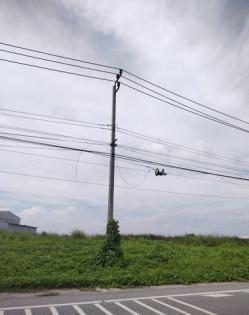 ขายที่สีม่วง 24 ไร่ ติดถนนใหญ่ ต.มาบข่า อ.นิคมพัฒนา จ.ระยอง