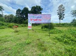 ขายที่ดิน 3-1-59 ไร่ เชียงราย – ทำเลดี ติดถนนลาดยาง เหมาะสร้างบ้าน & เกษตรกรรม