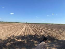 ขายที่ดิน ตำบลกุดน้ำใส อำเภอจัตุรัส จังหวัดชัยภูมิ เนื้อที่ 9 ไร่ 3 งาน 41 ตารางวา